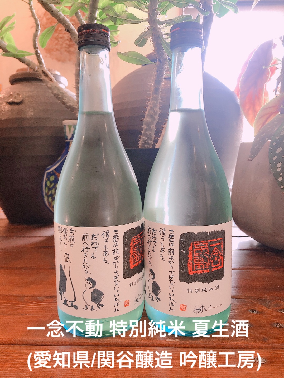 蓬莱泉 一念不動 特別純米夏生酒 （愛知県/関谷醸造 吟醸工房）